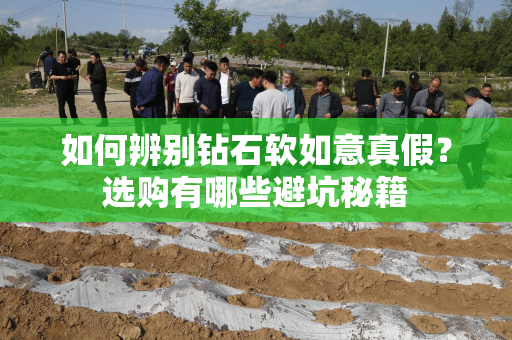 如何辨别钻石软如意真假？选购有哪些避坑秘籍